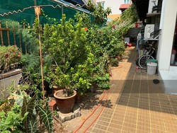 Beauty Garden (D19), Terrace #201283742